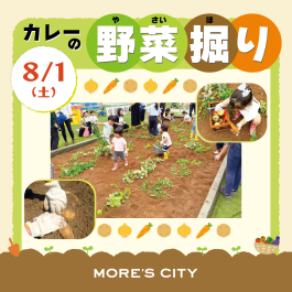 カレーの野菜掘り体験開催!