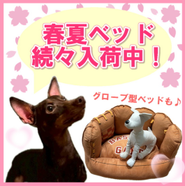 春夏のベッド続々入荷中!!